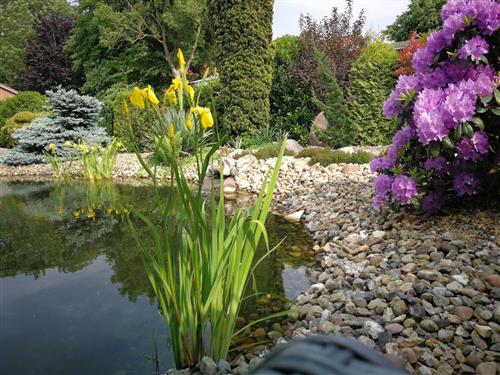 Ferieleilighet - 6 personer -  - Stader Straße - 21737 - Wischhafen