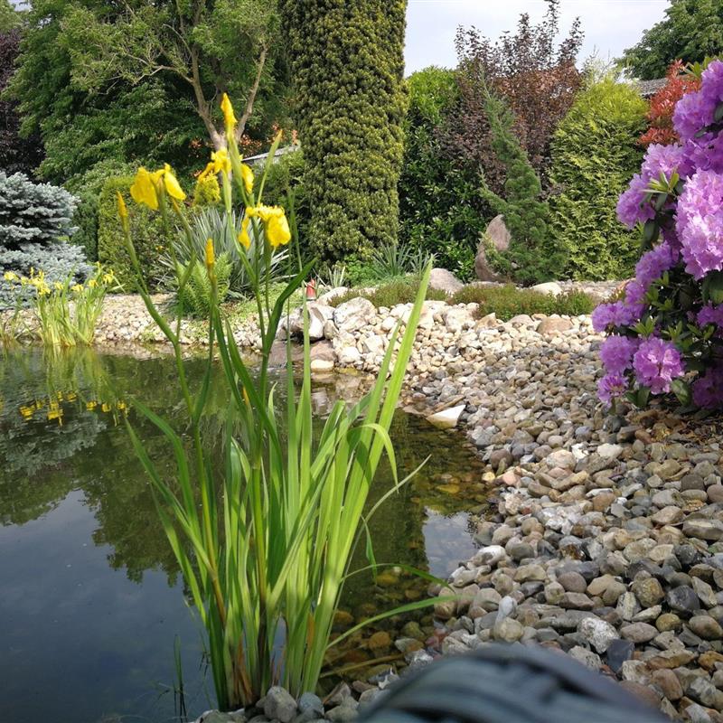 Ferielejlighed - 6 personer -  - Stader Straße - 21737 - Wischhafen