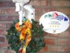 Bild 15