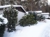 Bilde 4