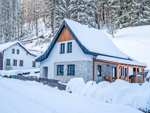 Sommerhus - 12 personer -  - Dolní Dvur - 543 42