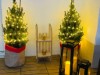 Bild 42