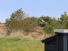 Billede 30 - Grund