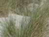 Billede 22