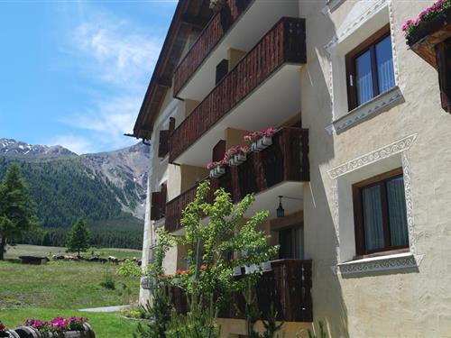 Ferieleilighet - 5 personer -  - Via Chalchera - 7532 - Tschierv
