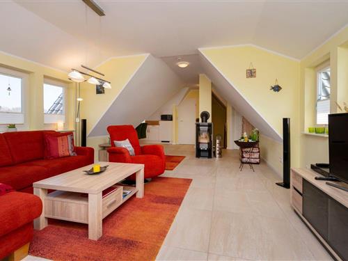 Ferieleilighet - 3 personer -  - Kavelweg - 18374 - Zingst (Ostseeheilbad)