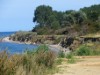 Bilde 24
