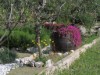 Bild 16