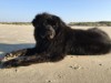 Bild 19