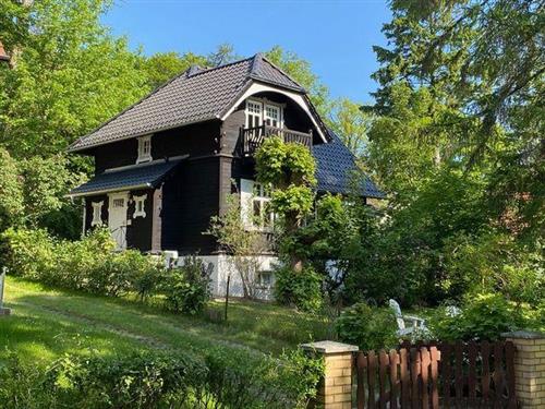 Feriehus - 6 personer -  - Kastanienallee - 17454 - Zinnowitz