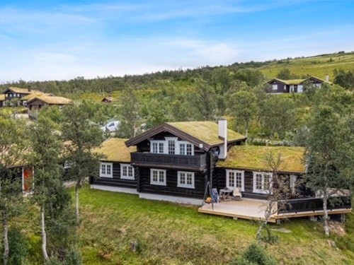 Holiday home - 10 persons -  - Elvhøgdfaret - 2550 - Os I Østerdalen