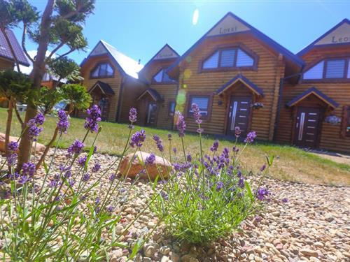 Holiday apartment - 6 persons -  - 72-344 - Rewal