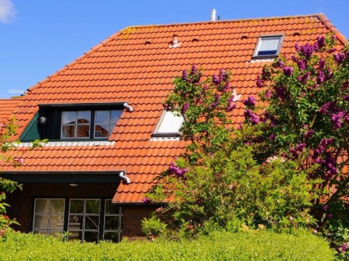 Sommerhus - 4 personer -  - 26409 - Carolinensiel
