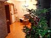 Bild 52