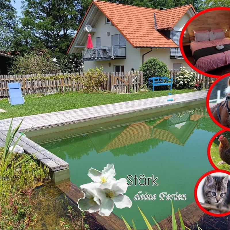 Bondegård - 4 personer -  - Steinhaus - 88285 - Bodnegg