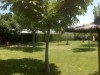 Bild 52
