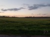 Bild 41