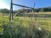 Bilde 13 - Ude