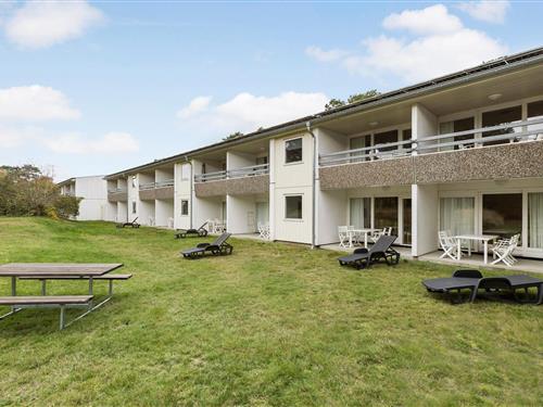 Holiday apartment - 2 persons -  - Sirenevej 2, - Dueodde - 3730 - Nexø