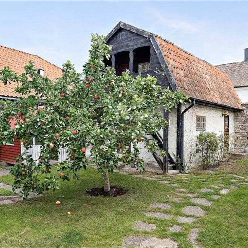 Sommerhus - 6 personer -  - Ryska gränd - 621 56 - Visby