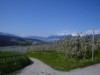 Bild 22