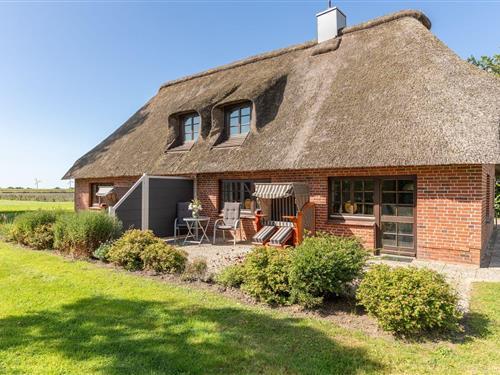 Holiday apartment - 5 persons -  - Evensbüllerchaussee - 25845 - Nordstrand