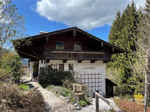 Holiday apartment - 4 persons -  - Alpbach - 6236
