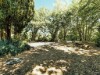 Image 21 - Outside