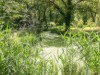 Image 15