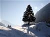 Bilde 6