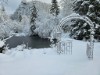 Billede 20