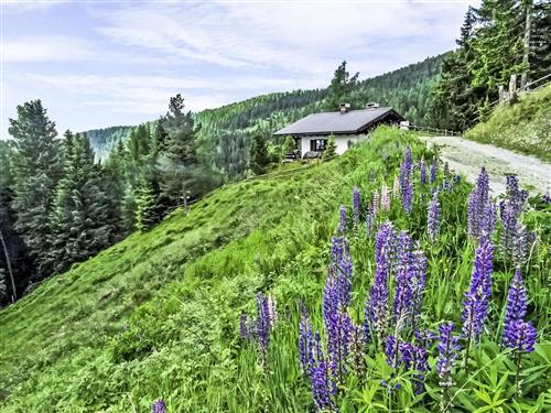 Fritidshus - 6 personer -  - Sirnitz - Hochrindl - 9571