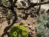 Bild 7 - Ude