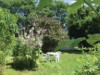 Image 14