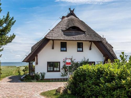 Ferielejlighed - 4 personer -  - Bauernreihe - 18347 - Ostseebad Ahrenshoop