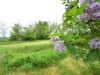 Image 31