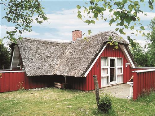 Ferienhaus - 6 Personen -  - Søndervang - Houstrup - 6830 - Nr. Nebel