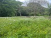 Bild 17