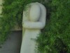 Image 29