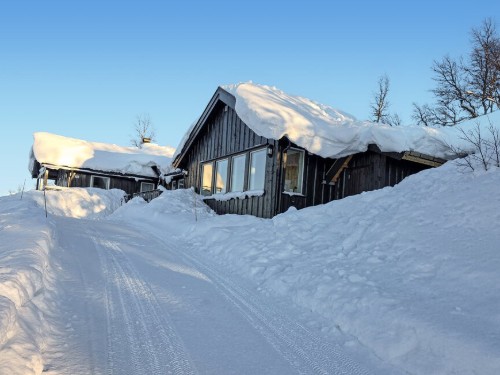 Ferienhaus - 10 Personen -  - Silkedalsporten - Rauland, Vierli - 3864 - Rauland