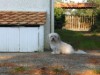 Bilde 4