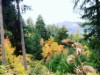 Bild 15