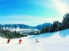 Bild 17