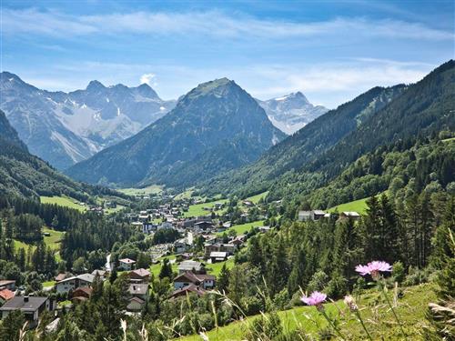 Bondegård - 8 personer -  - Schedlerhof - 6708 - Brand