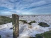 Billede 16
