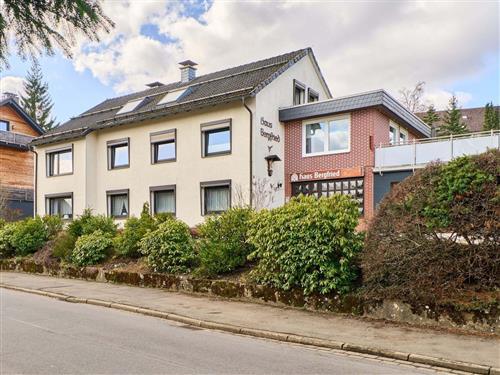 Ferielejlighed - 6 personer -  - Robert-Roloff-Straße - 38700 - Braunlage