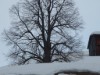 Bild 11 - Ude