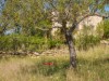 Billede 46