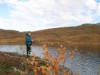Image 4 - Activity