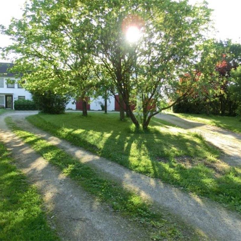 Ferielejlighed - 4 personer -  - Lindenhof - 56865 - Blankenrath